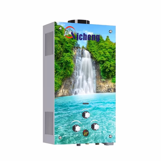Fournisseur chinois Home Appliance10L type de conduit mural panneau de verre personnalisé vente chaude chauffe-eau à gaz instantané sans réservoir pour le bain
